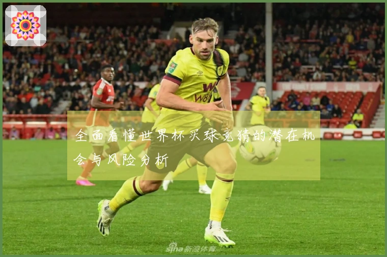 全面看懂世界杯买球竞猜的潜在机会与风险分析