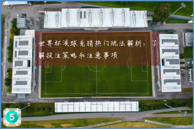 世界杯滚球竞猜热门玩法解析，了解投注策略和注意事项