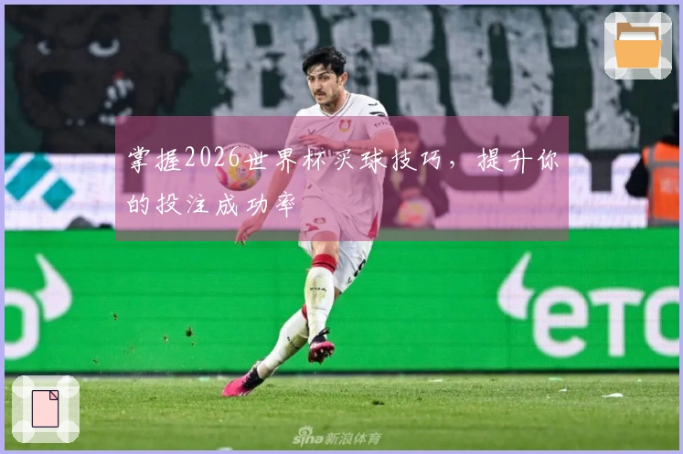 掌握2026世界杯买球技巧，提升你的投注成功率
